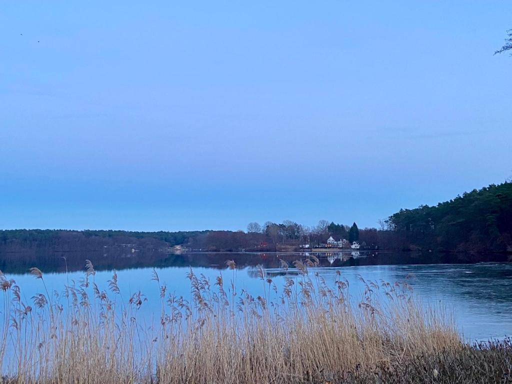 Waldwerk Wurlgrund Lychen Aparthotel Exteriör bild