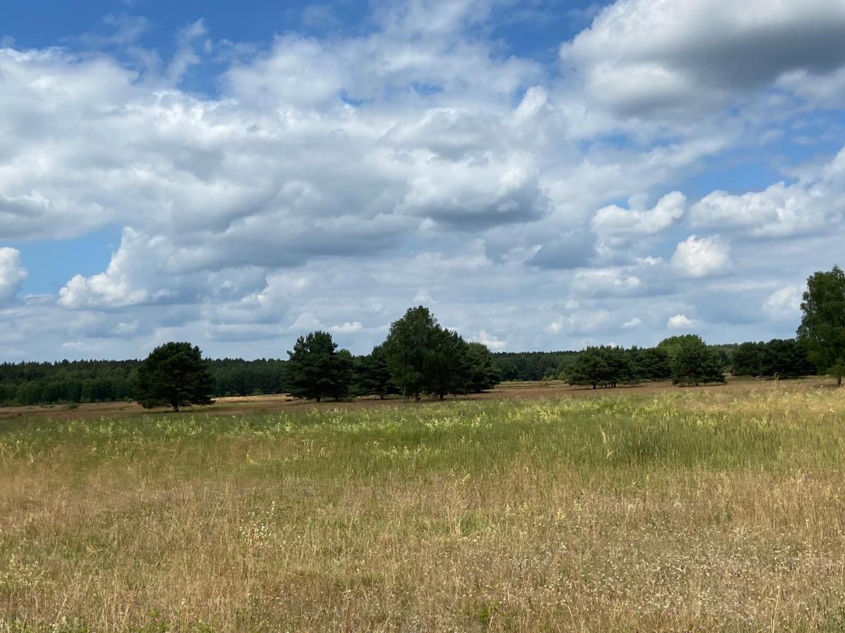 Waldwerk Wurlgrund Lychen Aparthotel Exteriör bild