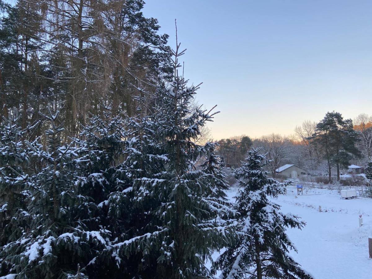 Waldwerk Wurlgrund Lychen Aparthotel Exteriör bild