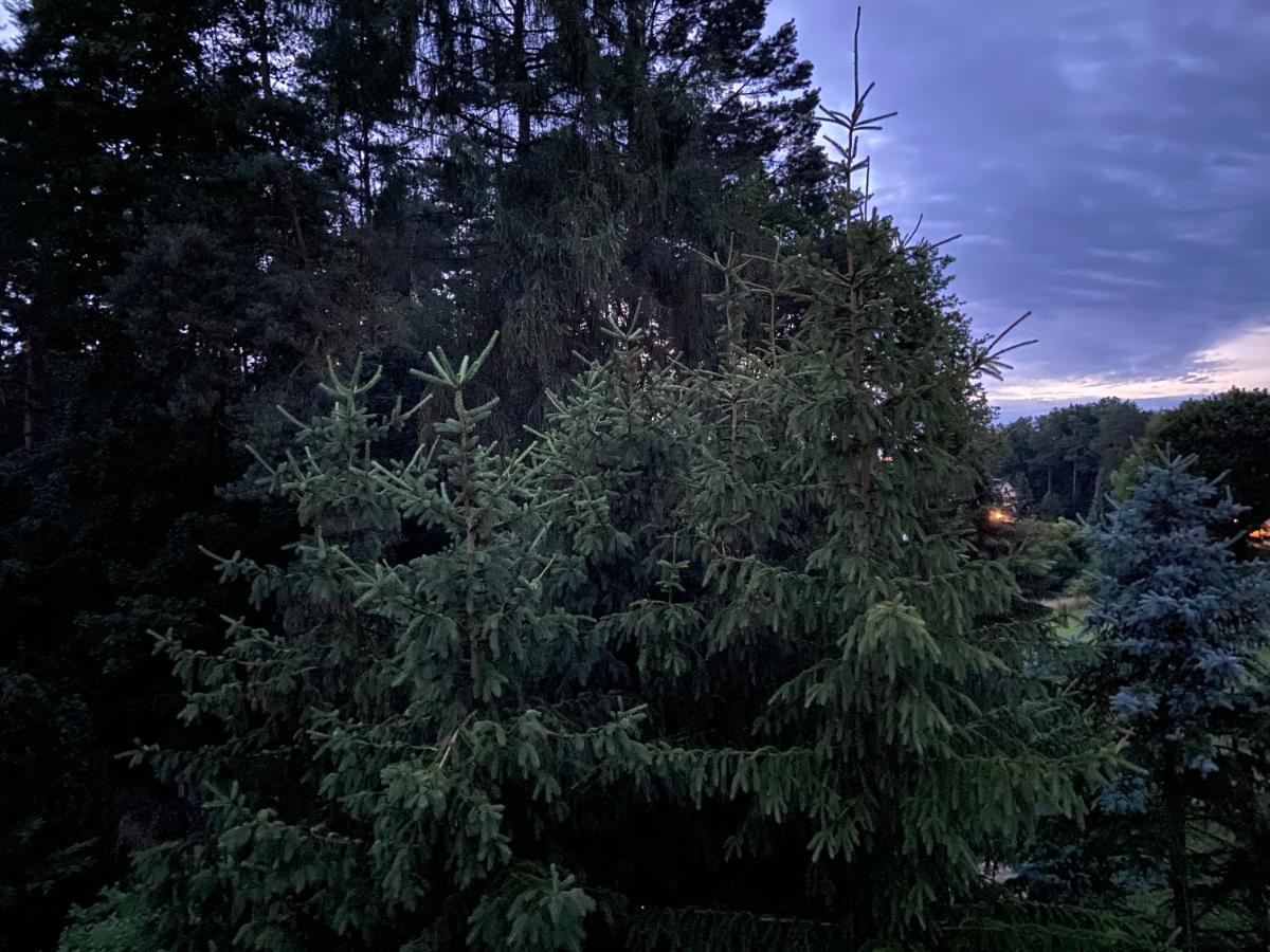 Waldwerk Wurlgrund Lychen Aparthotel Exteriör bild