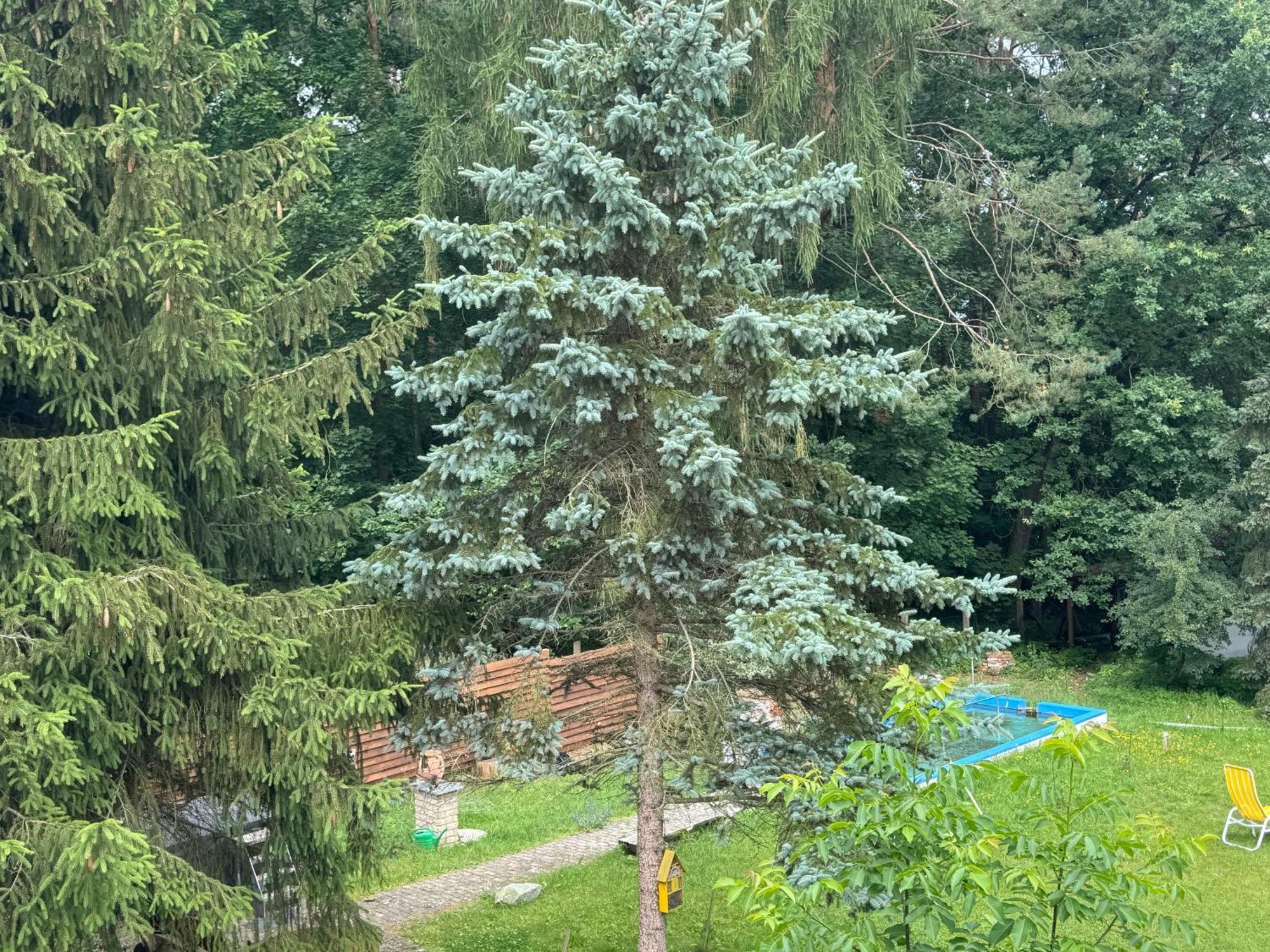 Waldwerk Wurlgrund Lychen Aparthotel Exteriör bild